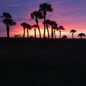 Meet your Posher, Delaney